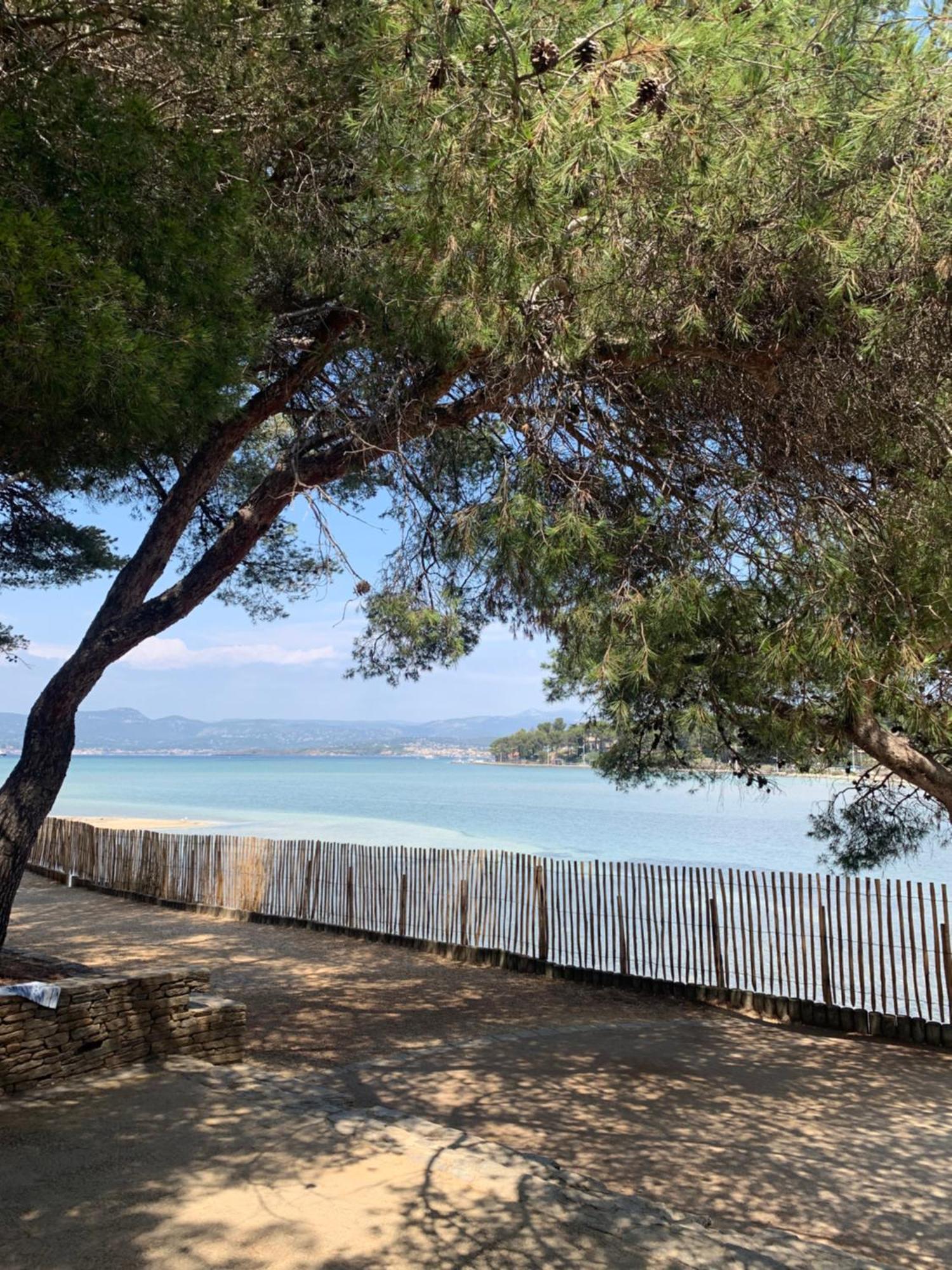 Studio Azur Six-Fours-les-Plages Exterior photo